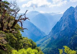 Excursion in Crete Samaria Gorge